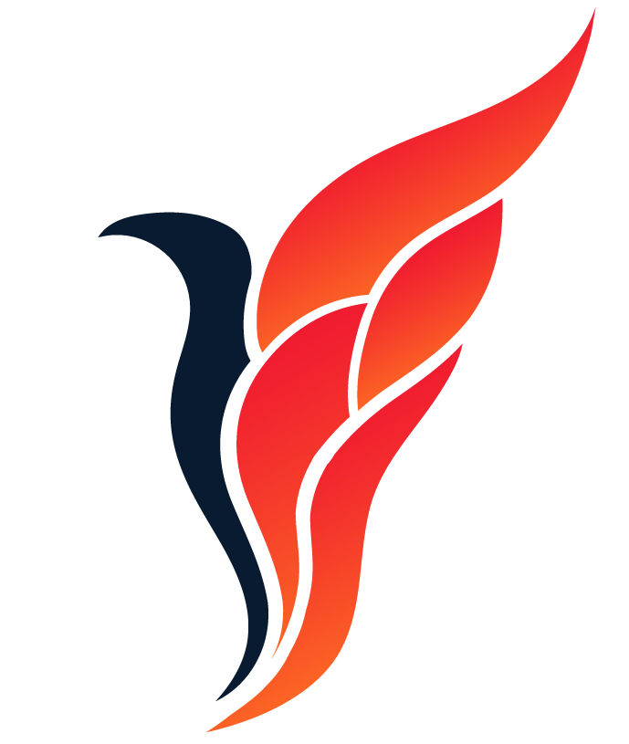 logo flyrt