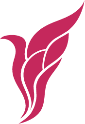 logo Flyrt